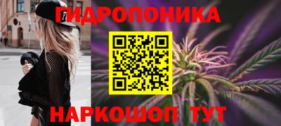 твердый Камышлов