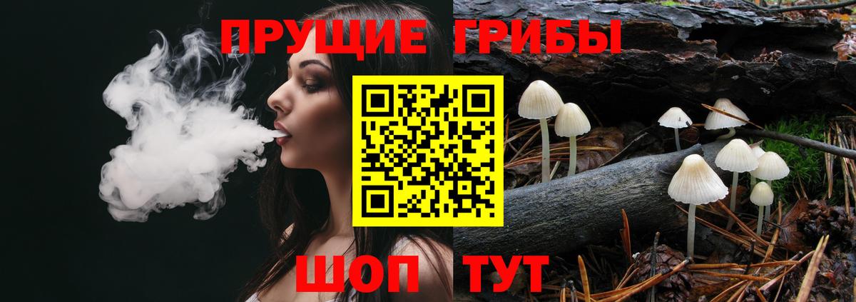 Магадан  Галлюциногенные грибы GOLDEN TEACHER  Вход с VPN 
